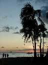 typical Hawaii